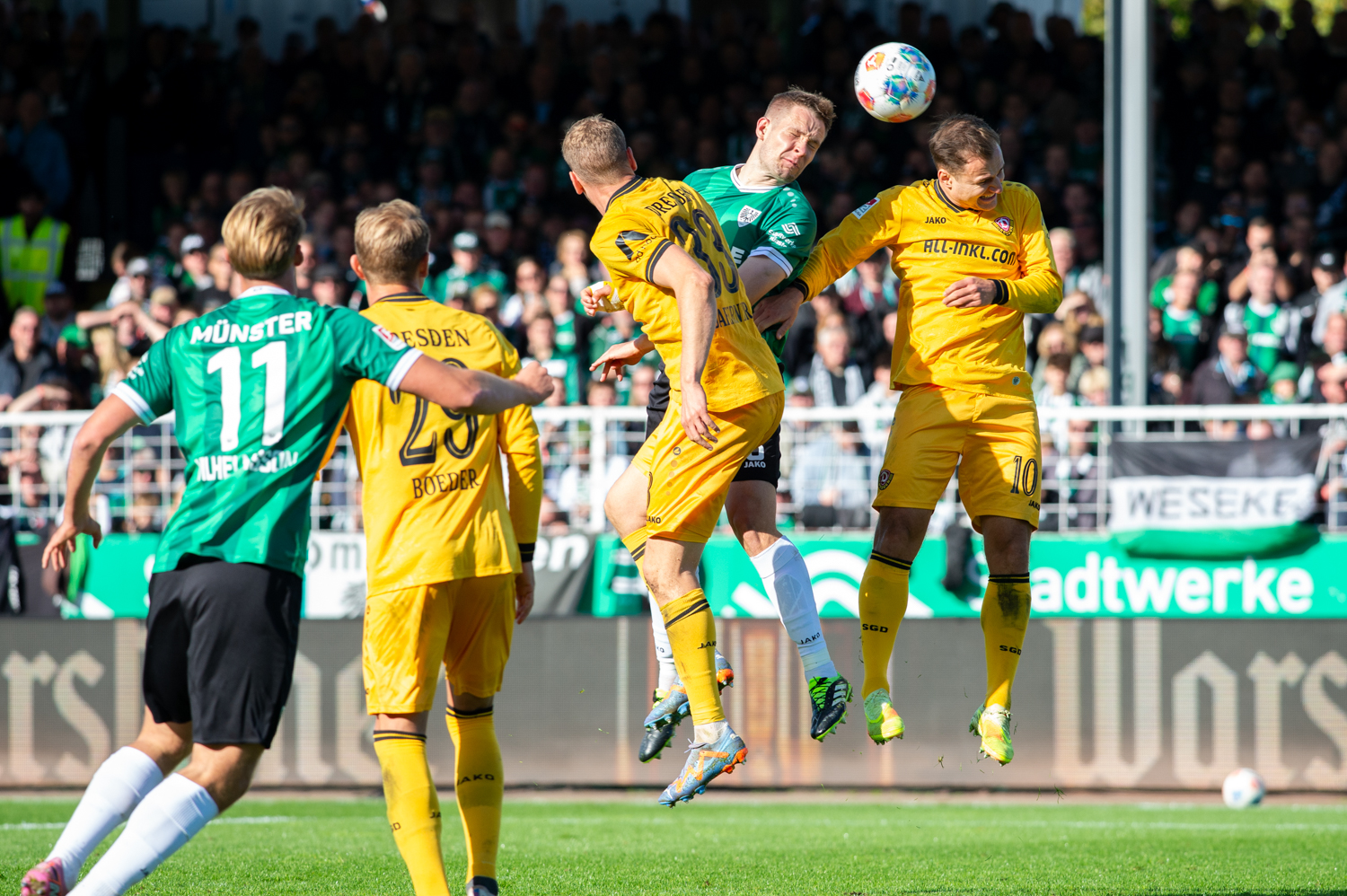 Umkämpftes 2:2 zwischen Münster und Dresden
